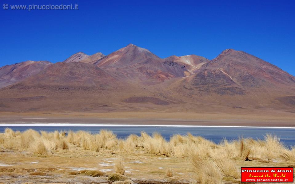 BOLIVIA 2 - Ruta de Las Joyas - Laguna Kanapa - 43.jpg